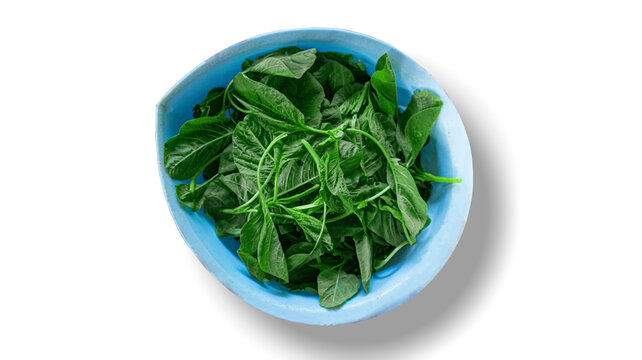Close-up shot of fresh spinach in a plastic bowl over an isolated white background. Top view.
