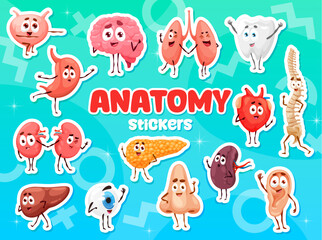 Cartoon human organ characters stickers pack. Human body anatomy childish personages vector stickers set. Heart, brain, kidney and lung, tooth, uterus internal organs cheerful cartoon characters