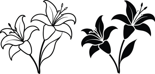 Elegant Lily Flowers Black and White Line Art Designs