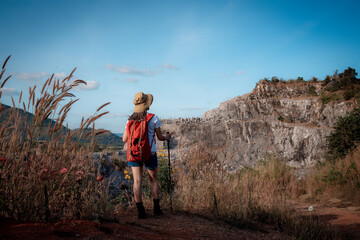 Naklejka premium Hikers or explorers on journey carrying backpack, trekking poles looks into the distance observing and possibly guide trekking and trail exploration holiday ecotourism concept.