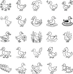Adorable Cartoon Ducks Diverse Poses, Activities, and Settings