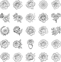 Collection of Line Art Rose Drawings Floral Designs and Sketches