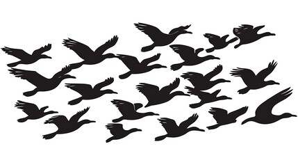 A stunning silhouette of a flock of seagulls soaring in perfect formation, gracefully gliding across the sky in unison.