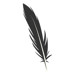 Fototapeta premium Black Silhouette of Majestic Feather. Isolated on White Background. Vector Illustration