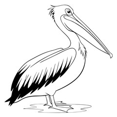  Pelican