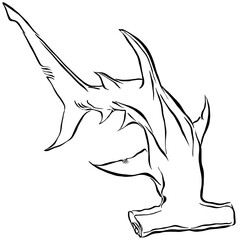 Vector illustration of black line drawing of a hammerhead shark
