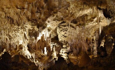 Cave formation of stalactites and stalagmites in the Big Room of Carlsbad Caverns National Park, New Mexico