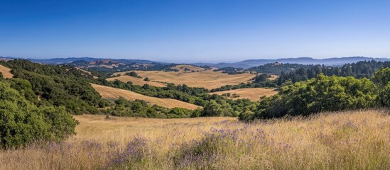Naklejka premium Panoramic view of rolling hills, meadows, and distant mountains under a clear blue sky.