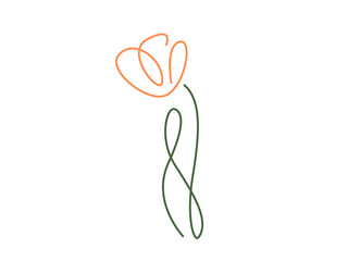line drawing of an orange tulip flower