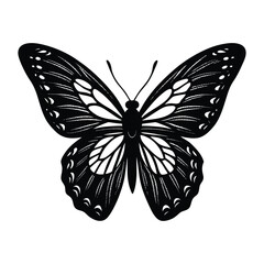 

A delicate hand-drawn sketch of a butterfly with intricate wings, perched gracefully. The minimalist lines capture its elegance and fleeting beauty in a timeless style.
