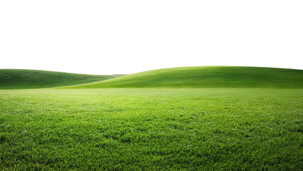 Green grass on the hill isolated on transparent background