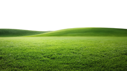 Green grass on the hill isolated on transparent background