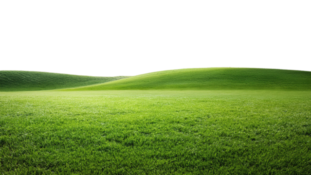 Green grass on the hill isolated on transparent background