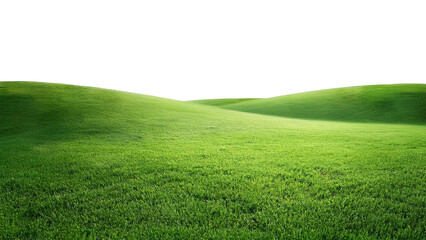 Green grass on the hill isolated on transparent background
