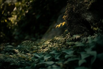 Obraz premium Sunlight illuminates a small plant growing from a rock surrounded by lush greenery.