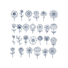 set of flowers hand drawn design vector template illustration