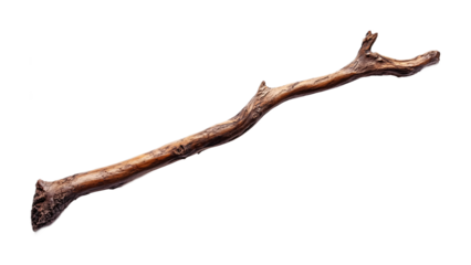 Reliable Walking Stick for Hikers Isolated on White Background