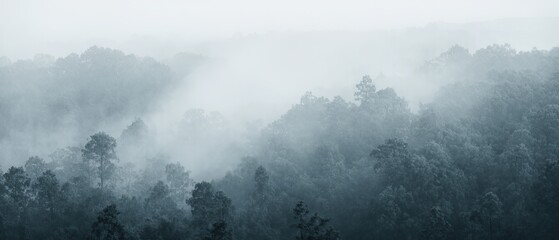 Trees shrouded in morning fog evoke a mystical and serene forest atmosphere. Generative AI