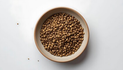 A Bowl of Coriander Seeds