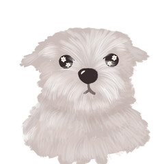 A while puppy png decoration elements 
