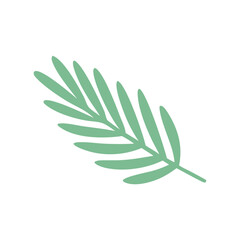 Abstract Organic Shape