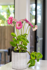 Succulent pot plant and flowers 