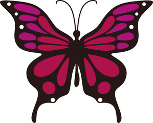 Butterfly Illustration