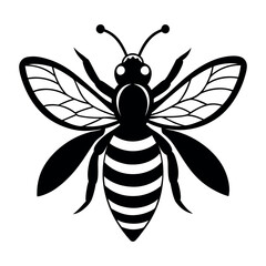 illustration of a bee