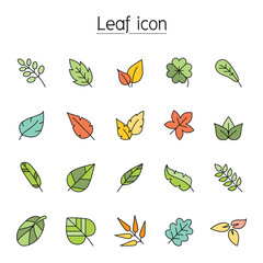 Fototapeta premium Leaf icon set in thin line style