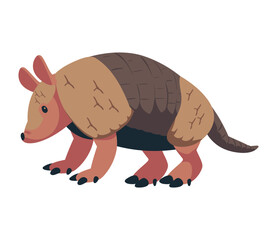 armadillo desert animal