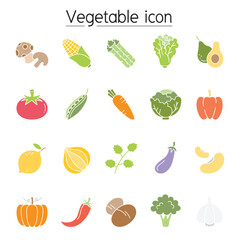 Vegetable icon set in thin line style