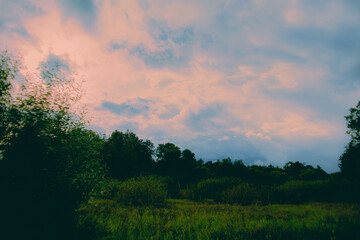 A summer scene with a blue-pink sky and a green meadow create a peaceful natural setting in the park. The clouds float above, adding to the overall atmosphere of tranquility.