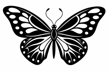 butterfly stencil  silhouette illustration