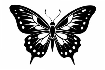 butterfly stencil  silhouette illustration