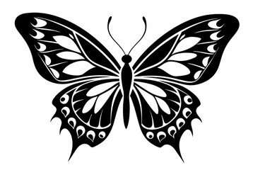 butterfly stencil  silhouette illustration