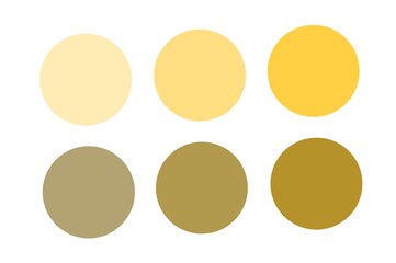 Cosmetic eyeshadow palette with various colors. Beauty, salon.