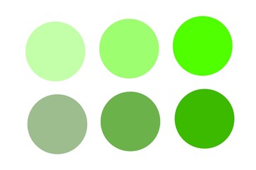 Cosmetic eyeshadow palette with various colors. Beauty, salon.