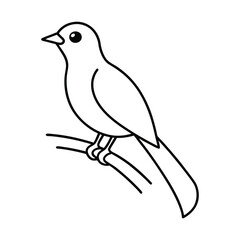 bird on a branch