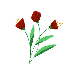 Red flowers and leaf 