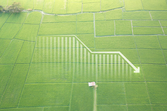 Land, landscape or green field in aerial view. Include house building, bar chart or graph, drop down arrow. Real estate or property with concept for sale price, land value to decrease, reduction, low.