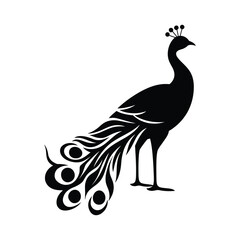 Fototapeta premium Minimal peacock bird vector silhouette black color