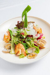 seafood salad on the white