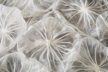 Delicate sheer fabric textile with floral pattern details in soft neutral tones