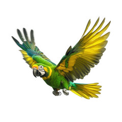 Obraz premium a vibrant parrot in mid-flight. showcasing its colorful feathers and dynamic pose against a plain background the beauty and grace of this exotic bird. capturing its lively spirit and natural elegance