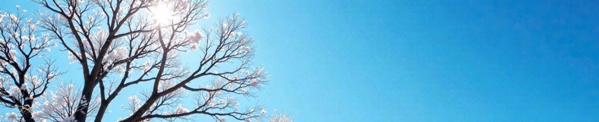 Bare branches of a tree against a bright blue sky, icy, frost