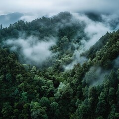 clouds over the mountains