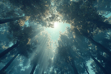 Obraz premium ray of light