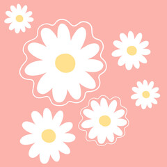 Daisy flower seamless background