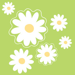 Daisy flower seamless background