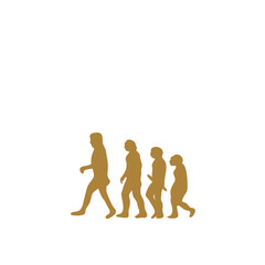 Human Evolution Illustration